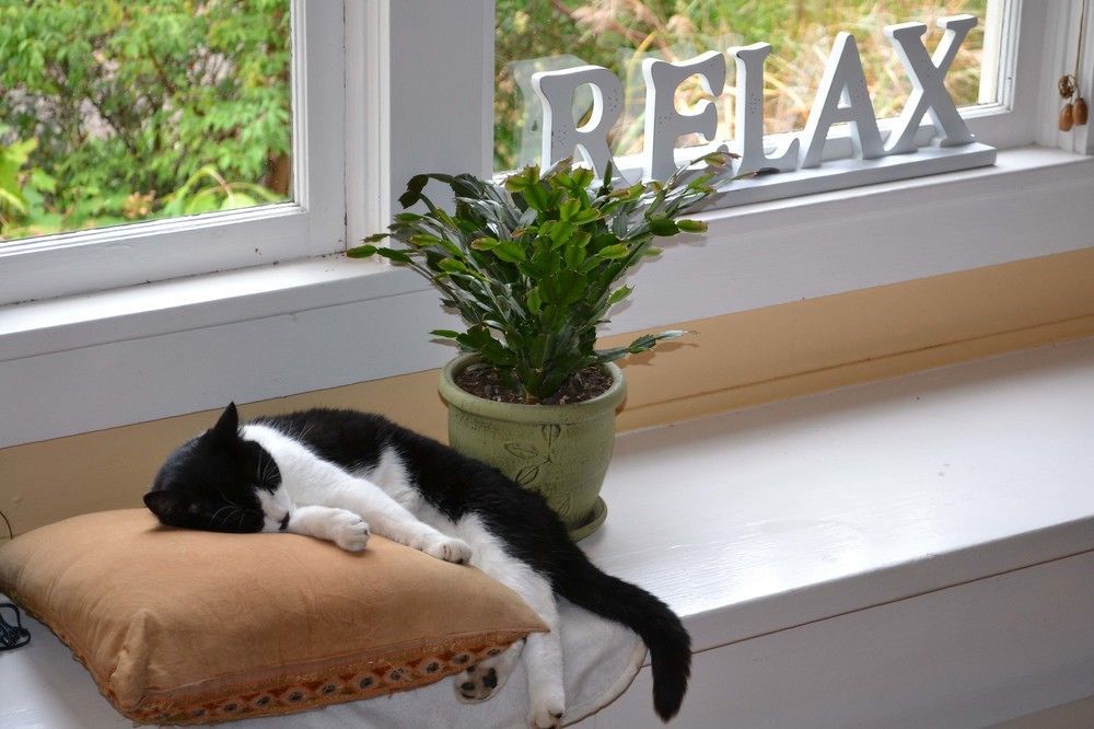 Argyle House Bed And Breakfast Friday Harbor Eksteriør bilde